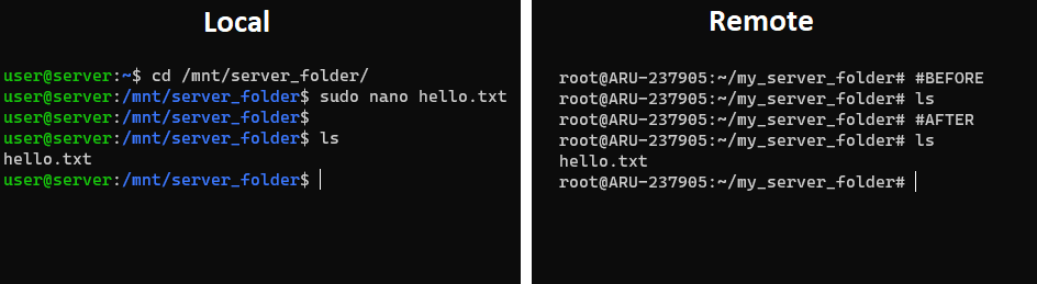 Local and remote folder differences